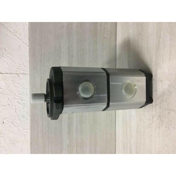 Rexroth 0517765008 replacement hydraulic gear Pump #1 image